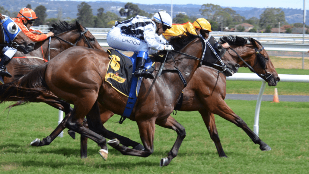 jockeys are racing horses down the track