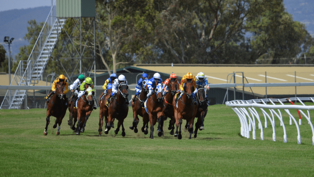 jockeys are racing horses on a grassy field