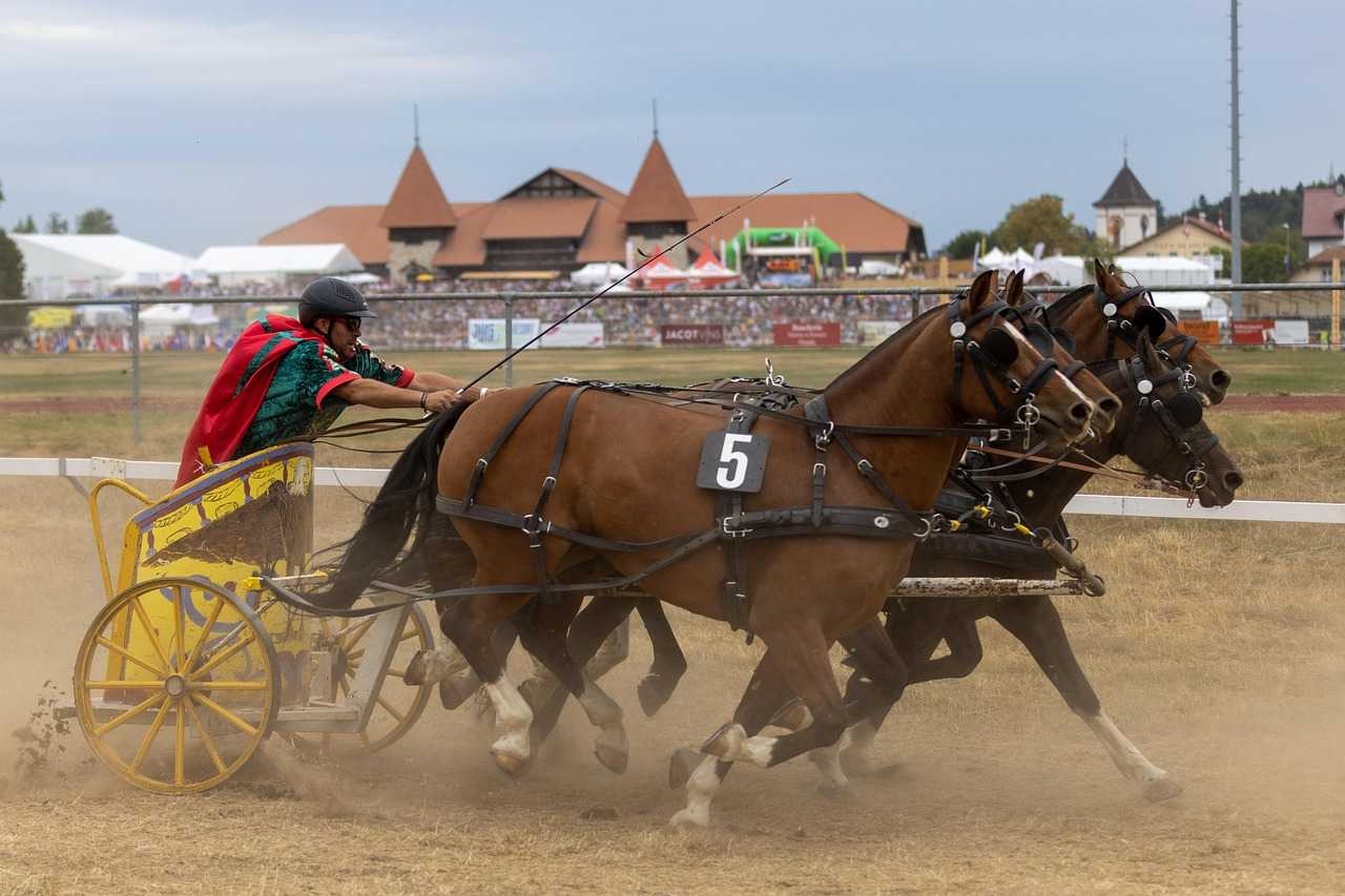 chariot racing