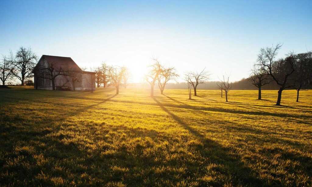 how tazopha investment group work