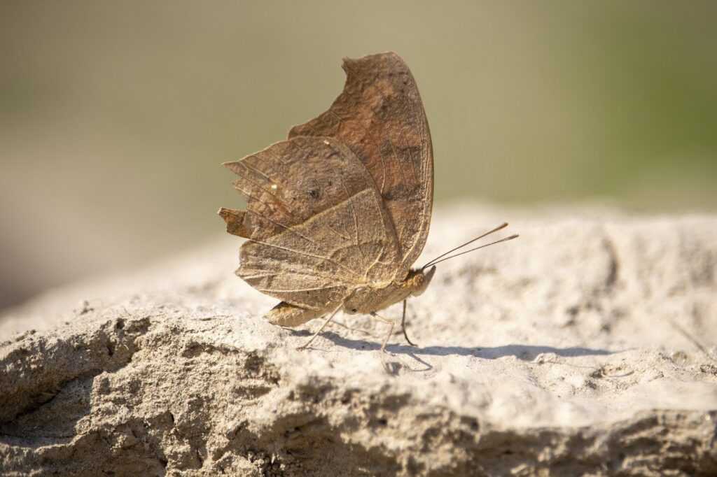 continente vila nova de milfontes