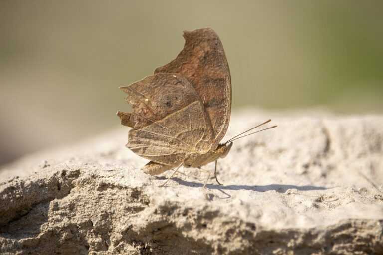 continente vila nova de milfontes