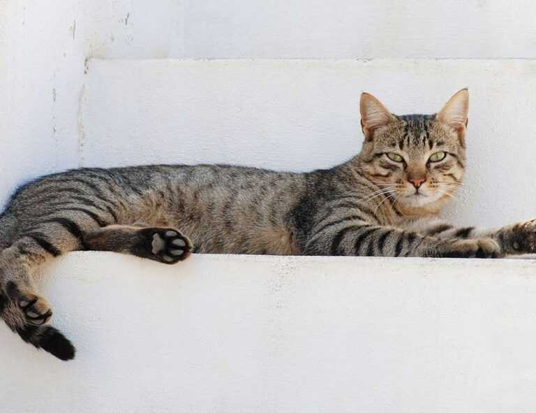 cronologie nottingham forest vs liverpool