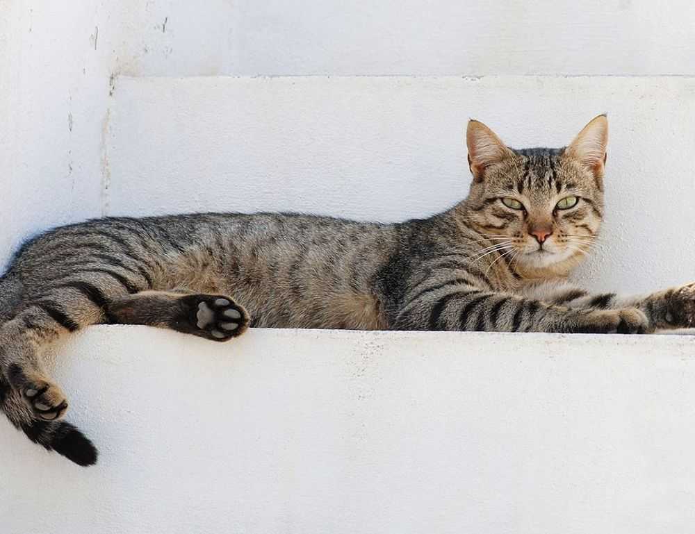 cronologie nottingham forest vs liverpool