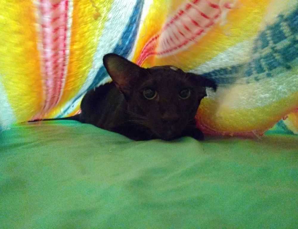 emmilyelizabethh leaks