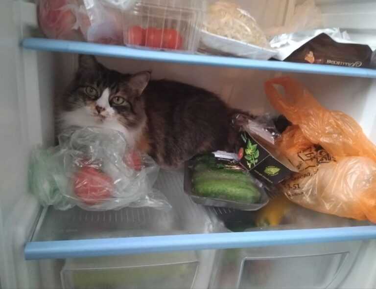 kenna sweets leaked onlyfans