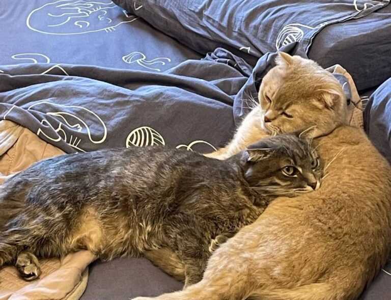 roblox poppetje kleurplaat