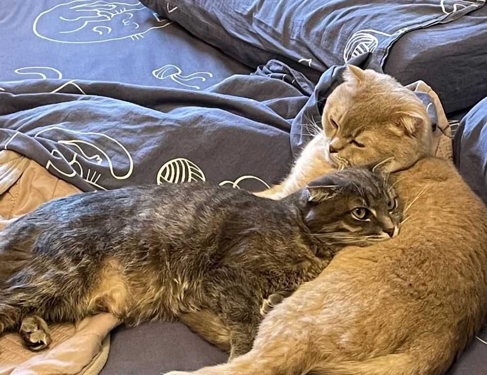 roblox poppetje kleurplaat