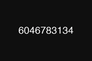 6046783134