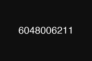 6048006211