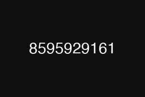 8595929161
