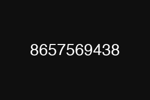 8657569438