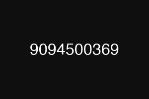 9094500369