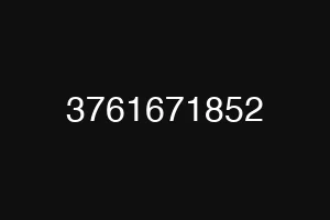3761671852