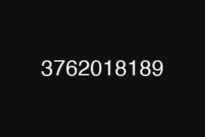 3762018189
