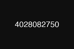 4028082750