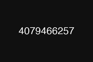 4079466257