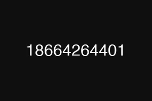 18664264401