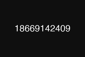 18669142409
