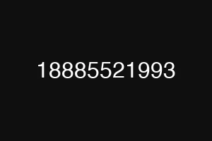 18885521993