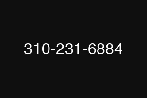 310-231-6884