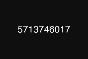 5713746017