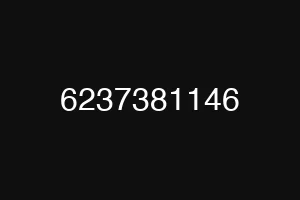 6237381146