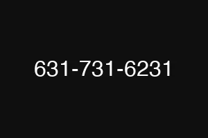 631-731-6231