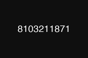 8103211871