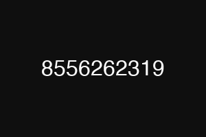 8556262319