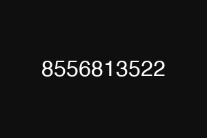 8556813522