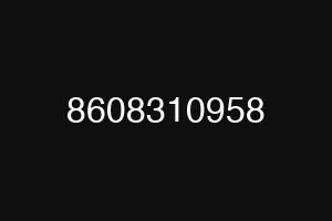 8608310958