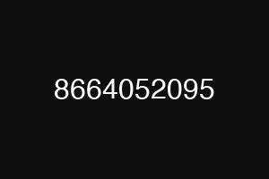 8664052095