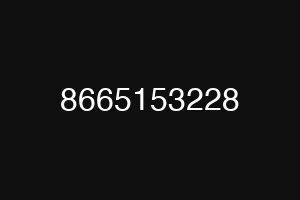 8665153228