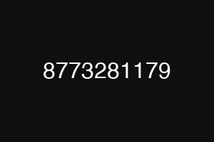 8773281179