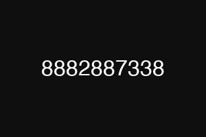 8882887338
