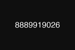 8889919026