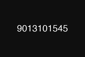 9013101545